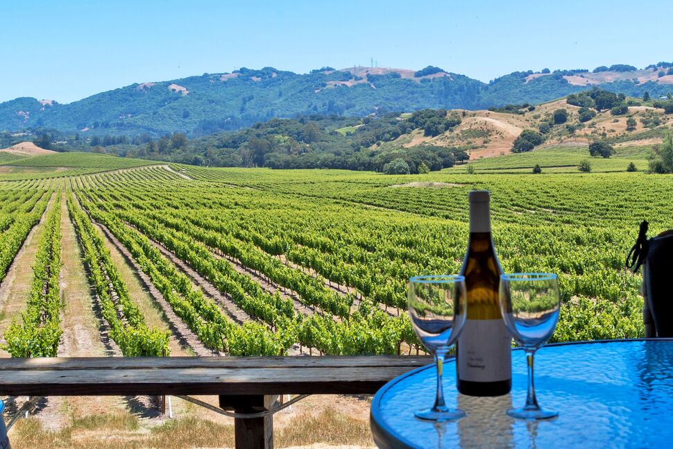 26 Top Sonoma Wineries to Visit