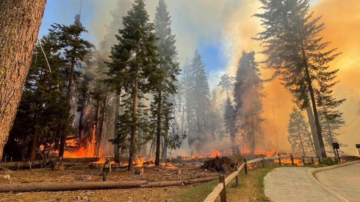 Fire Threatens Sequoias in Yosemite National Park – NBC Bay Area