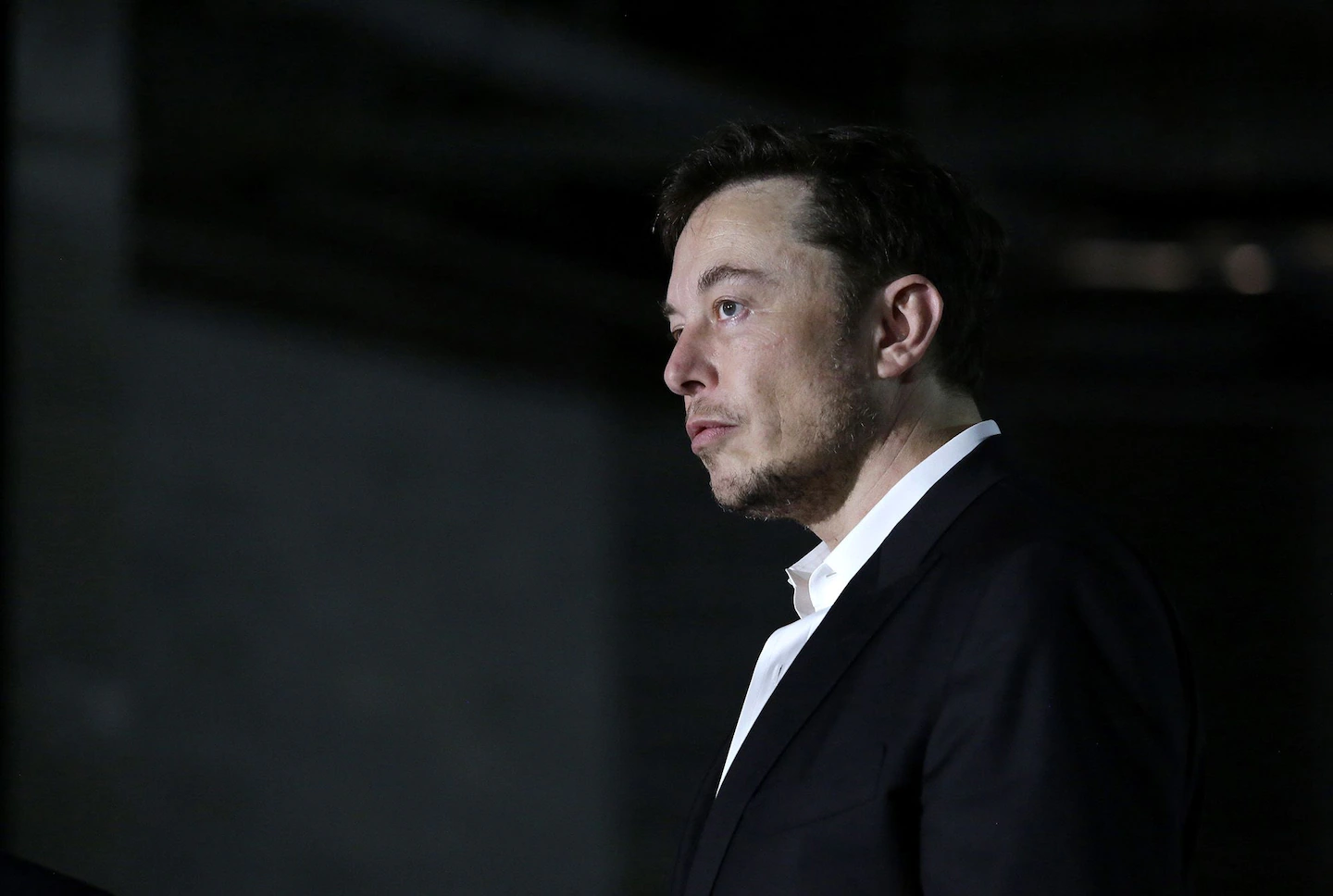 Neuralink exec Shivon Zilis reportedly had twins with Elon Musk