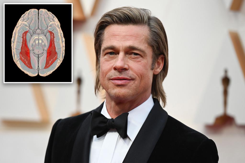 What is prosopagnosia? All about Brad Pitt's face blindness condition