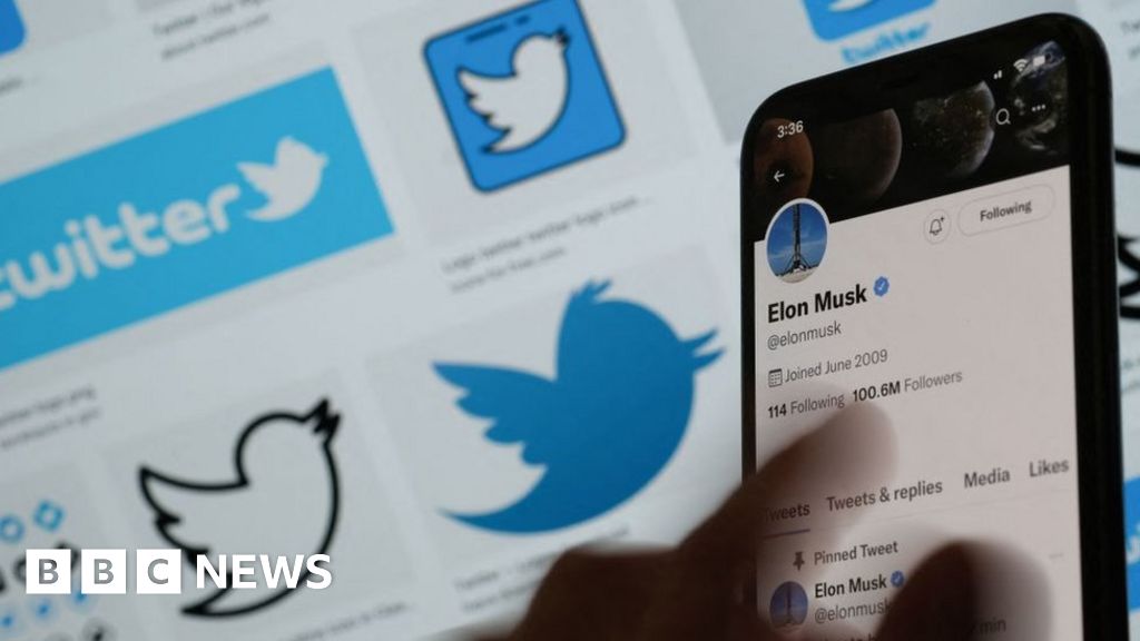 Why did Elon Musk get cold feet on Twitter?