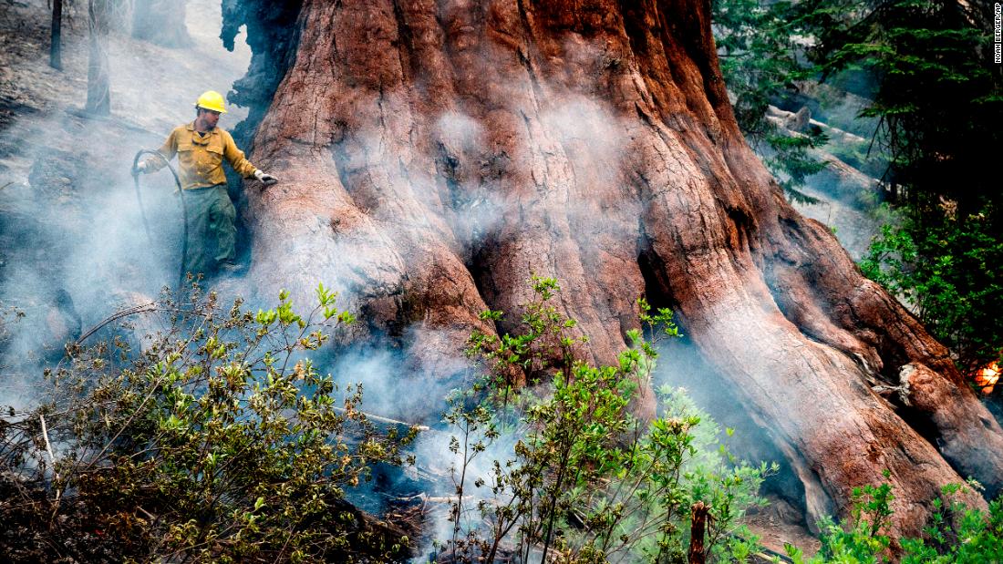 Yosemite Park fire: Blaze threatening Yosemite's famed grove of giant sequoia trees is still growing