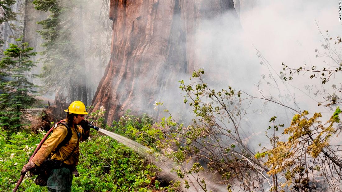 Yosemite Park fire: Fire crews use proactive measures to protect renowned sequoias as blaze grows