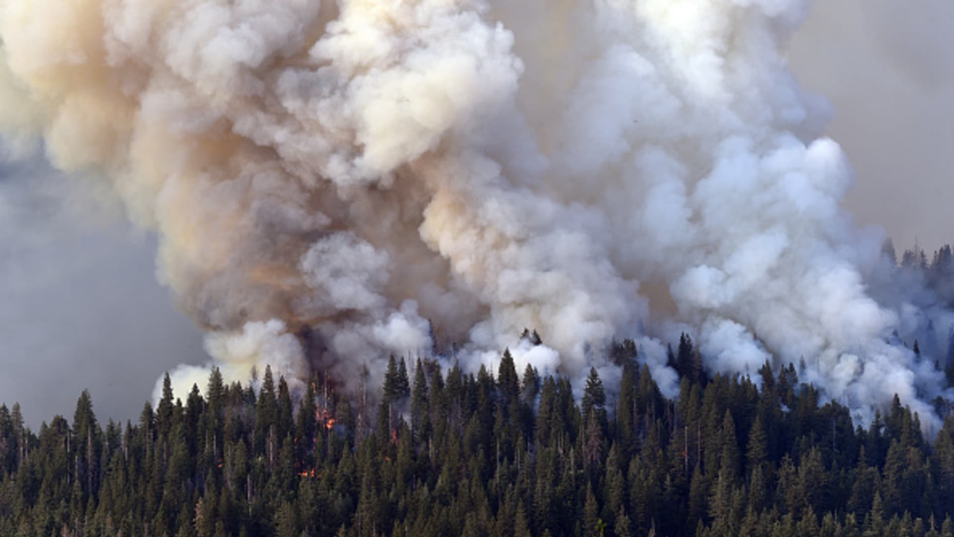 Yosemite fire uncontained as sprinklers protect historic sequoias